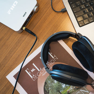 Sennheiser HD 600 + FiiO K11 R2R - The New Sound - The New Sound