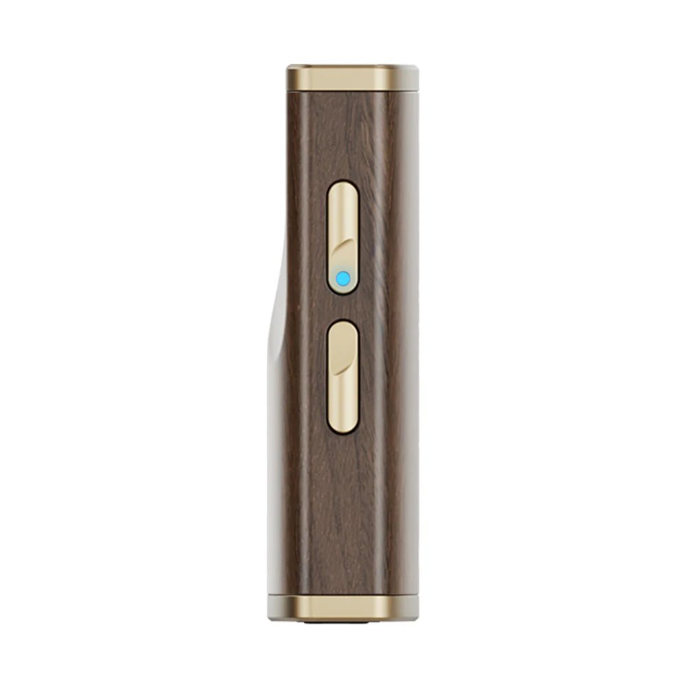 Snowsky Melody - FiiO - The New Sound