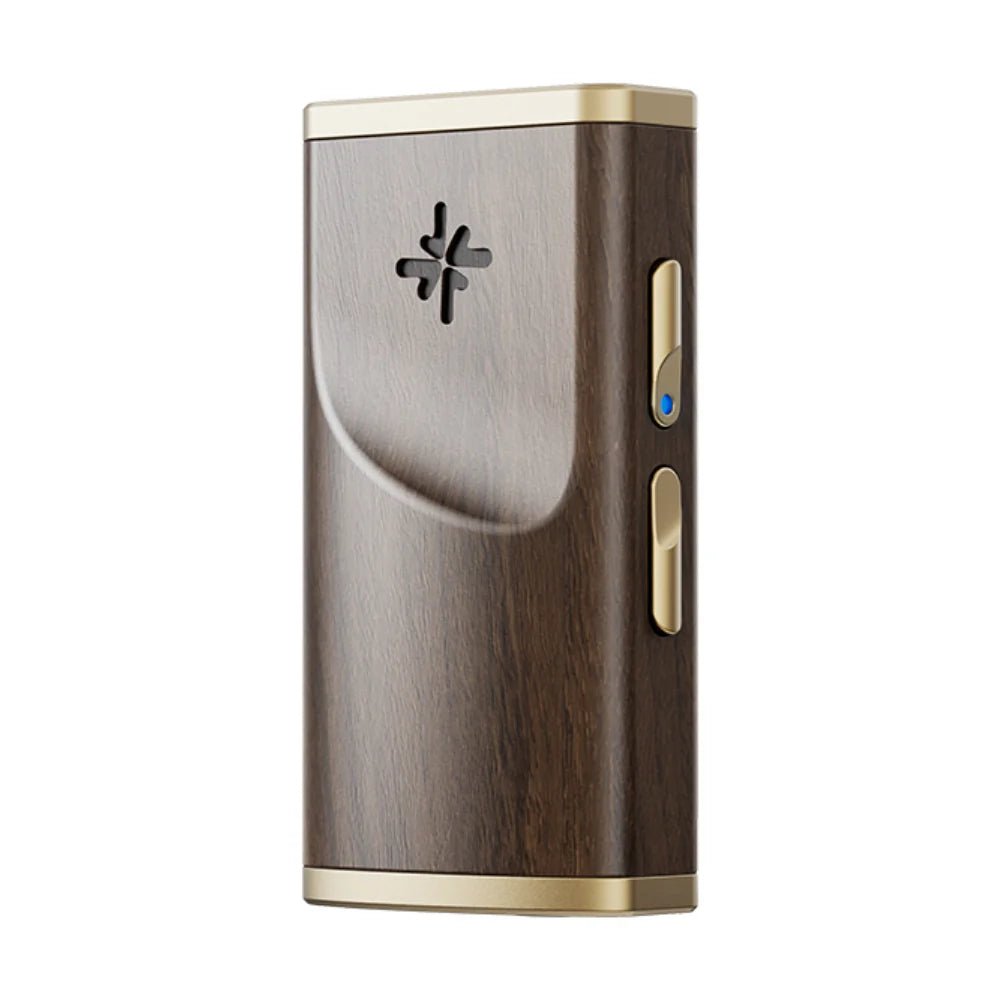 Snowsky Melody - FiiO - The New Sound