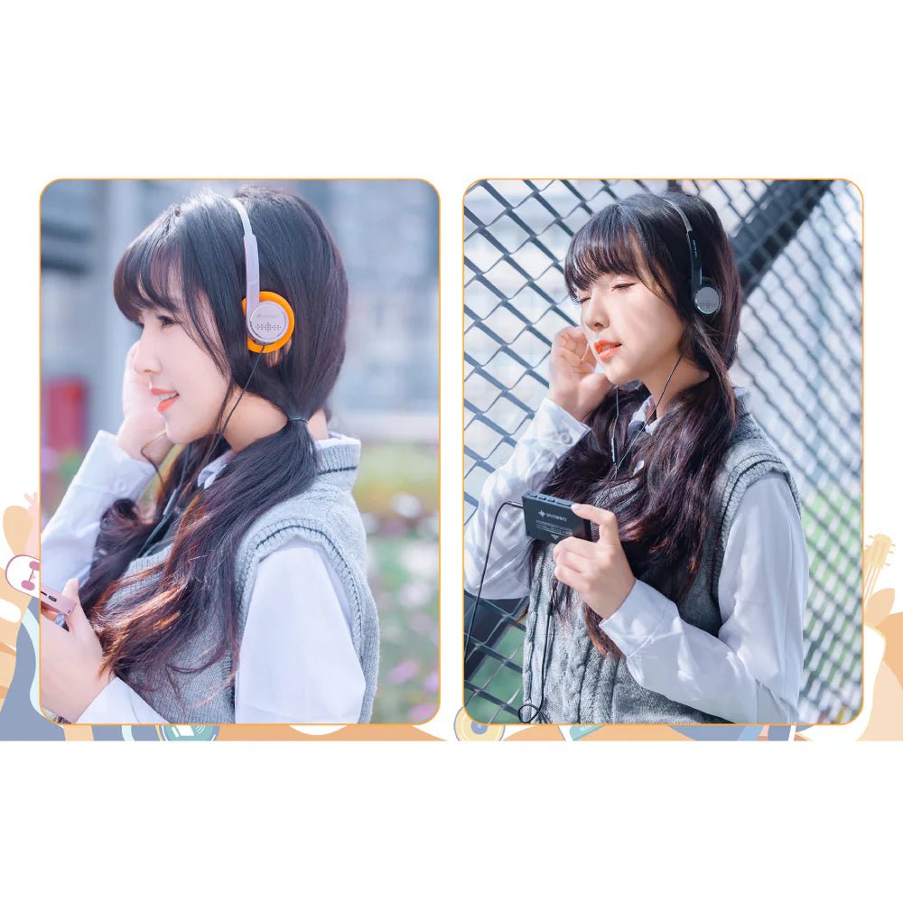 Snowsky Wind - FiiO - The New Sound