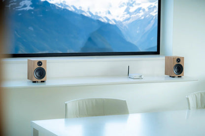 Speaker Box 3E Carbon - Pro - ject - The New Sound