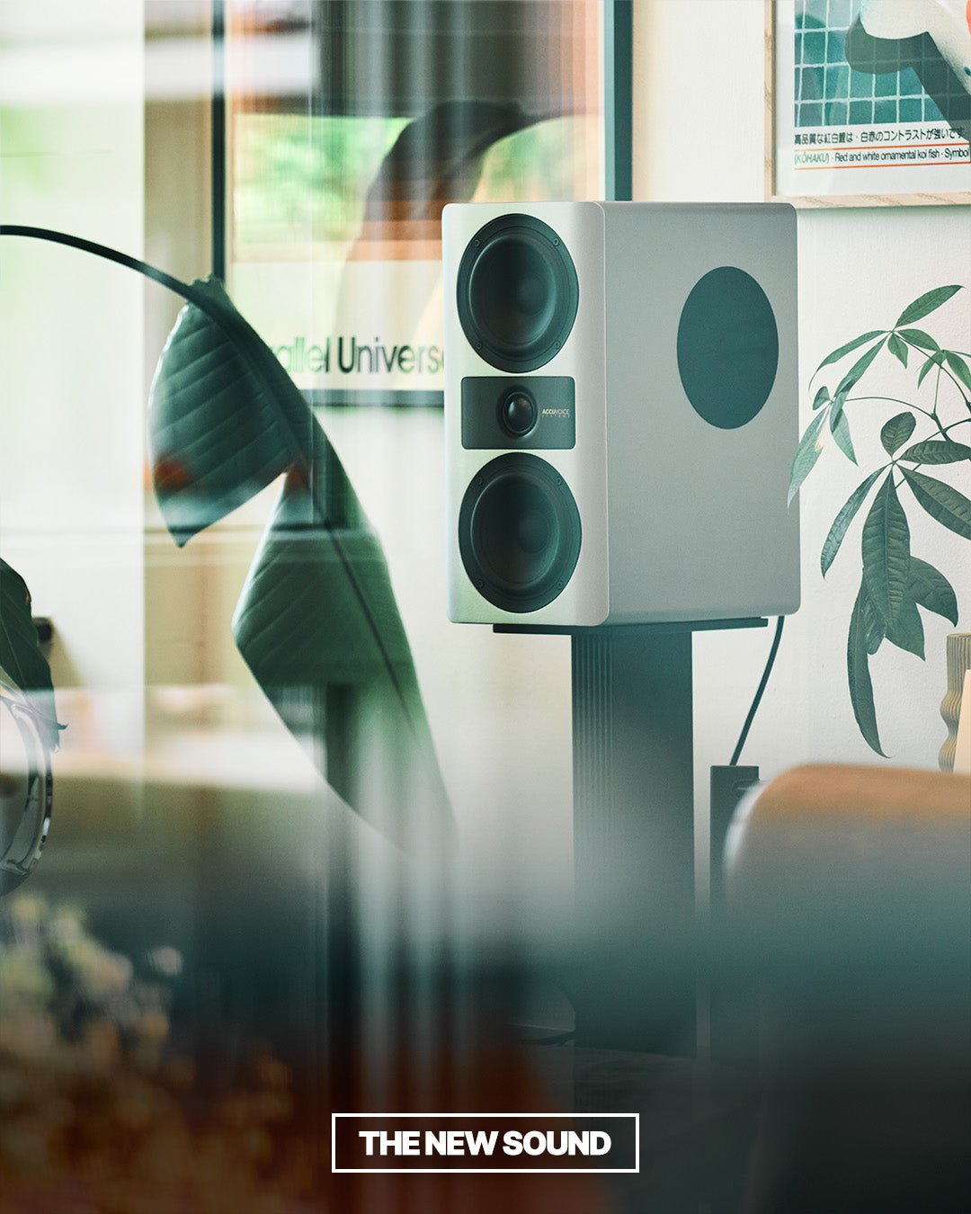 Stream S3 - Accuvoice - The New Sound