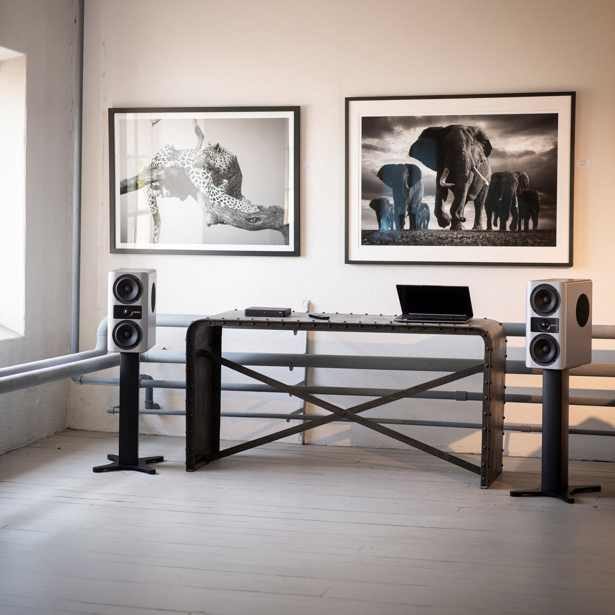 Stream S3 - Accuvoice - The New Sound