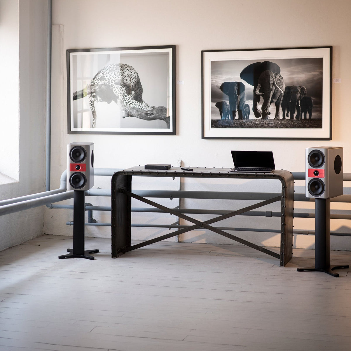Stream S3 - Accuvoice - The New Sound