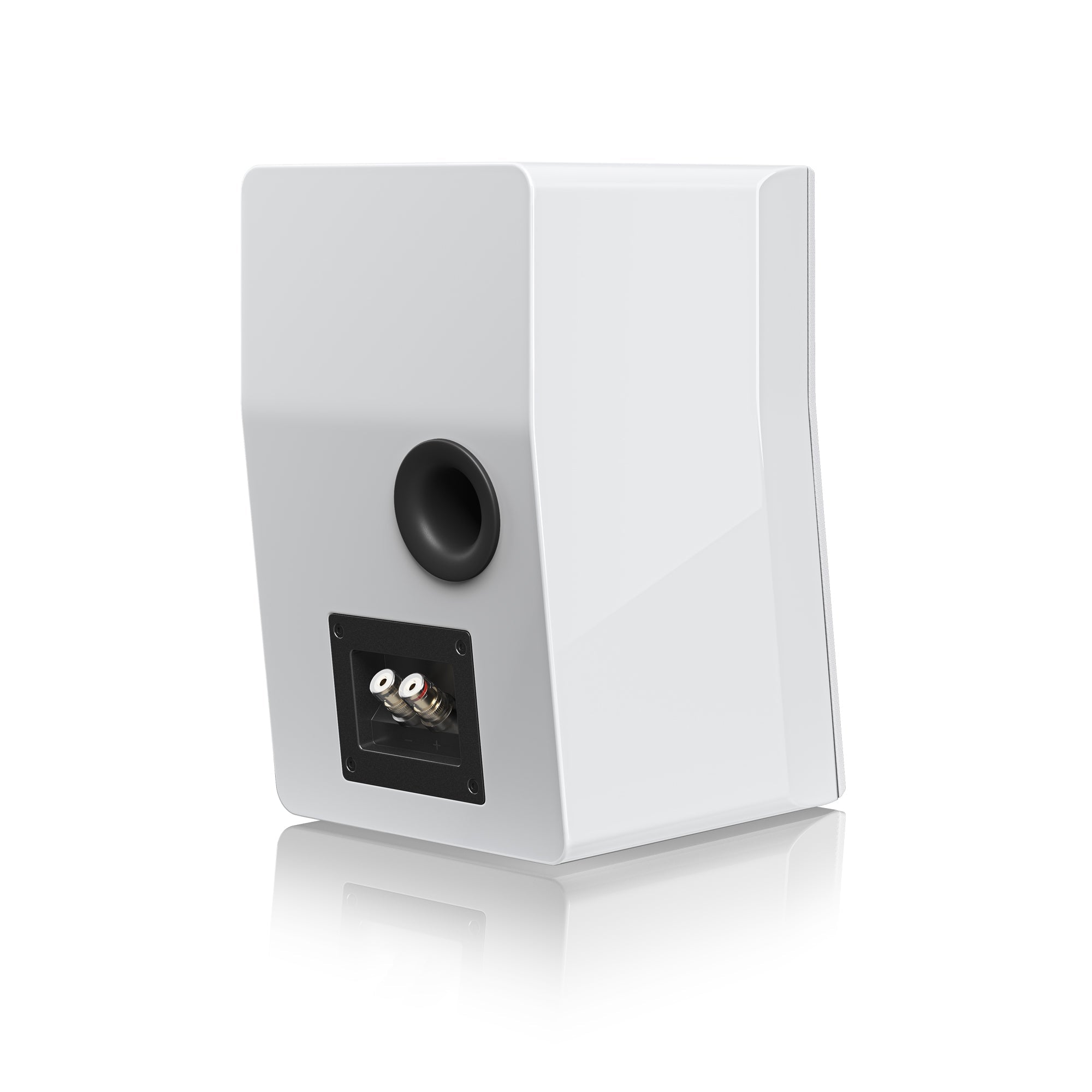 Ultra Evolution Nano / Paar - SVS - The New Sound