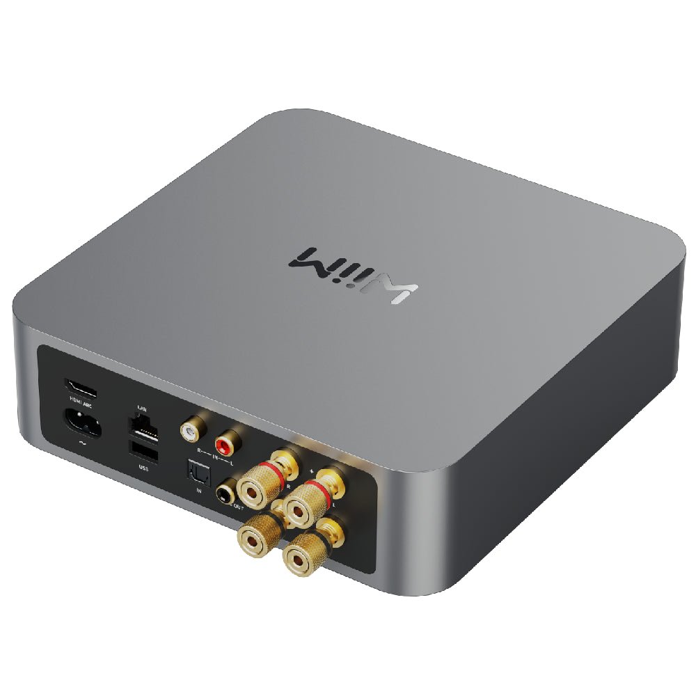 WiiM Amp - WiiM - The New Sound