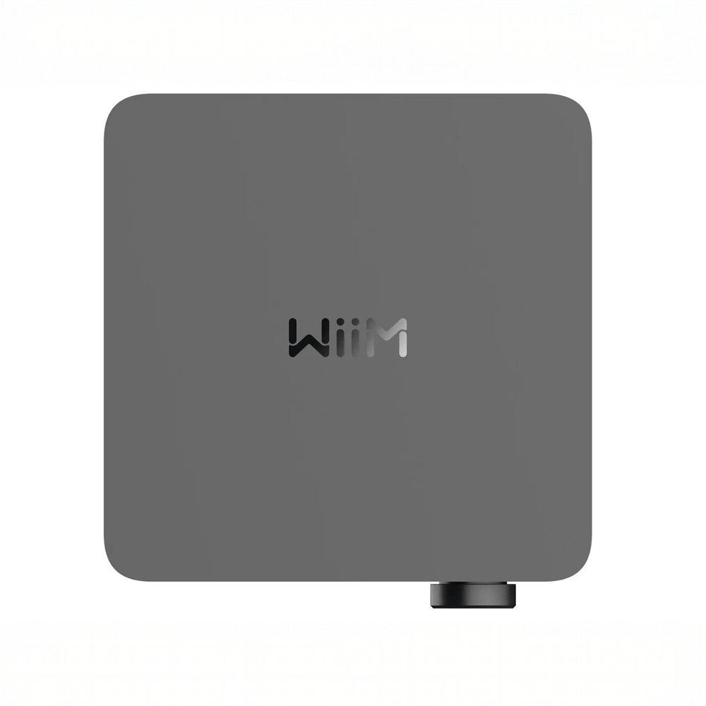 WiiM Amp Ultra - WiiM - The New Sound