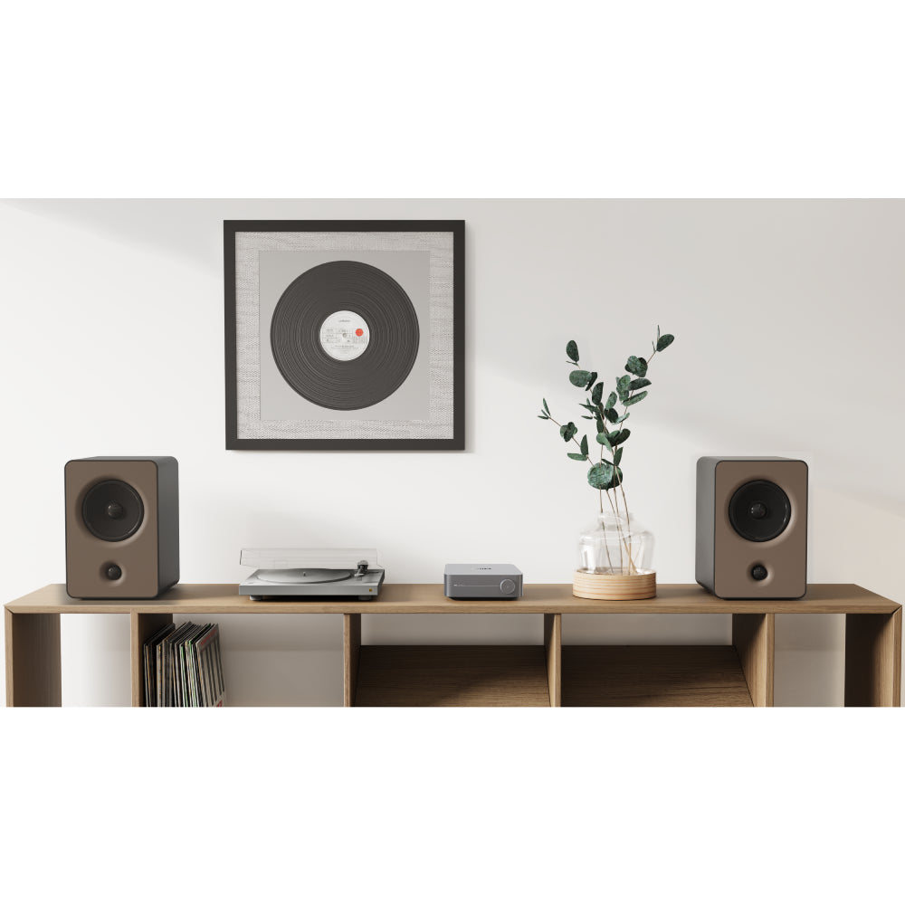 WiiM Amp