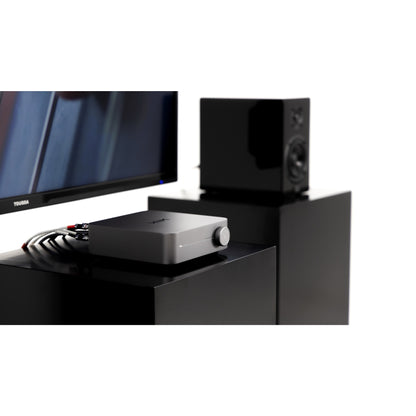 WiiM Amp