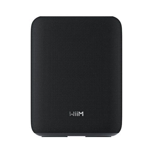 WiiM Sound Lite