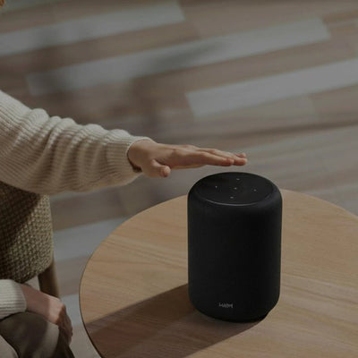 WiiM Lite - WiiM - The New Sound