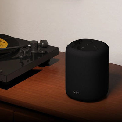 WiiM Lite - WiiM - The New Sound