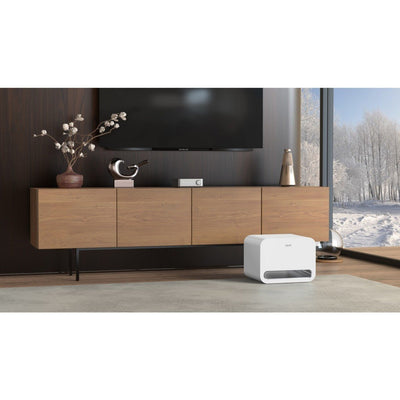 WiiM Sub Pro - WiiM - The New Sound