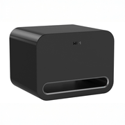 WiiM Sub Pro - WiiM - The New Sound