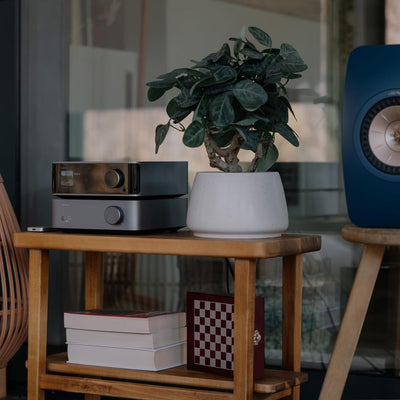 WiiM VibeLink Amp - WiiM - The New Sound