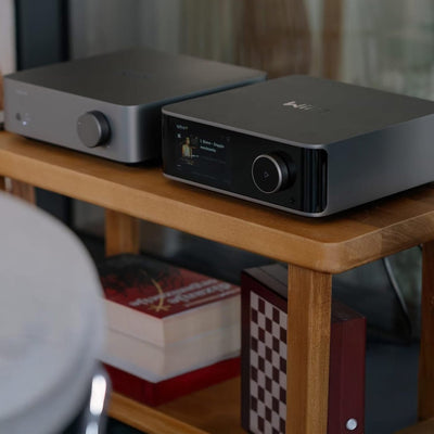 WiiM VibeLink Amp - WiiM - The New Sound