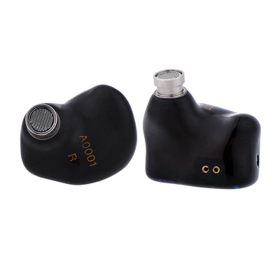 x HBB Punch - Kiwi Ears - The New Sound